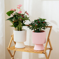 Pot de fleurs en plastique moderne pour la maison, style nordique, grand pot en céramique pour orchidées Phalaenopsis, décoratif pour bureau