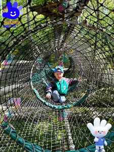 アドベンチャーパークスリル満点のスカイライドとサスペンションブリッジアミューズメントパークの屋外遊び場 - Product Image 6