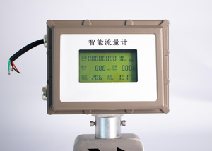 Aanpasbare digitale meterregelaar voor aardgas, LPG, benzine, ultrasone flowmeter, variabele oppervlakte watermeter, roestvrij staal - Product Image 5