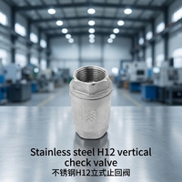 Vanne de contrôle verticale H12 en acier inoxydable, à ressort, filetée, OEM, manuelle, pour eau, huile, gaz, 1/2"-2" BSP NPT PN16