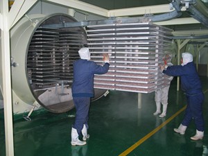 Liofilizador para Café Instantáneo en Gránulos y Polvo, Acero Inoxidable 304, Controlado por PLC, Capacidad de 5kg-500kg/h, Uso en Plantas de Fabricación - Product Image 6