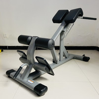 Usine En Gros Commercial Réglable Chaise Romaine Dos Extension Banc Multifonctionnel Home Gym Taille Formation Core Stabilité