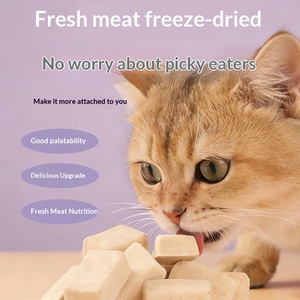 Probióticos Activos Liofilizados para Perros y Gatos, Soporte Digestivo y Cuidado Intestinal, Suplemento para Mascotas, Probiótico para un Intestino Saludable, 50g - Product Image 3