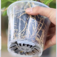 P407 Décoration de jardin, pot rond transparent en plastique pour plantes en bonsaï, plantes succulentes, fleurs, macetas