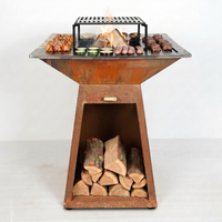 Barbecue à charbon de bois, brasero, plancha, foyer pour cuisson extérieure