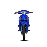 Moto électrique de tourisme haute performance 72V 3000W avec une autonomie de 100 km et une capacité de charge de 250 kg