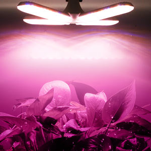 Led Grow Gloeilamp Full Spectrum Tuinieren Kamerplant Kas Zaailing Vegand Bloem <span class=keywords><strong>Indoor</strong></span> Kruidentuin Met Groeilicht - Product Image 1