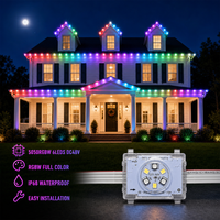 Lumières LED Pixel Point RGBW 48V pour Façade, 200ft 300ft 400ft, Éclairage Décoratif Extérieur Étanche IP68 en Forme de Méduse pour Noël