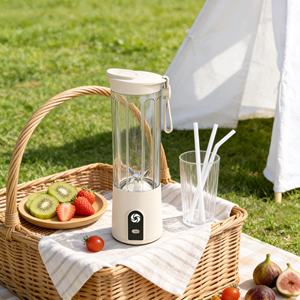 Mini mixeur à fruits rechargeable par USB haute puissance, presse-agrumes électrique personnel, livraison gratuite - Product Image 1