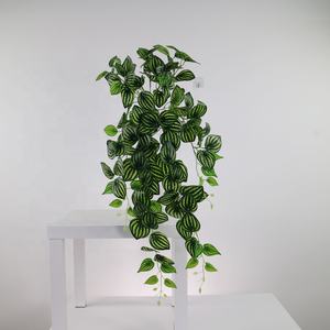 Plantas Artificiales de Fittonia al por Mayor, Personalizables, Colgantes, para Jardines Verticales Interiores, Diseño Biophilia Comercial - Product Image 5