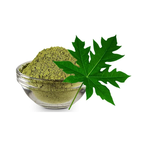 Poudre d'extrait sec de feuille de papaye Carica Papaya, poudre de feuille botanique à base de plantes, ingrédient végétal naturel pour les produits de compléments alimentaires - Product Image 3