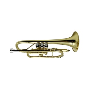 Cornetta in Sib JYCT407 in Vendita, Prodotto di Alta Qualità per Tromba - Product Image 3