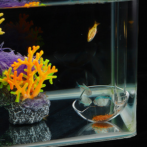 Vente en gros : Distributeur d'aliments pour poissons et crevettes en acrylique haute transparence et haute définition avec boîte d'alimentation et système d'arrosage manuel - Product Image 2