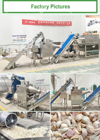 Gember Knoflooksaus Boterpuree Maken Vulmachine Slijpen Gember En Knoflookpasta Productielijn