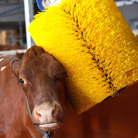 Brosse automatique pour vaches disponible en OEM, pour l'équipement d'élevage en ferme, brosse de massage corporel pour bovins