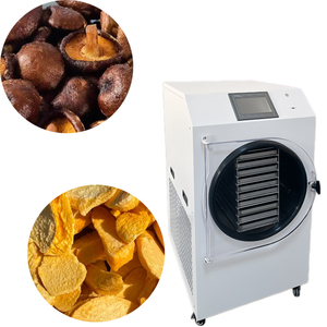 Máquina Liofilizadora de Alimentos y Frutas al Vacío, Secador de Caramelos Congelados, Liofilizador para Uso Doméstico - Product Image 1