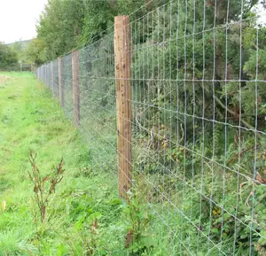 Clôture galvanisée de charnière de fil de champ de noeud fixe pour la clôture rurale de ferme de panneau de ferme de ferme de cheval de mouton