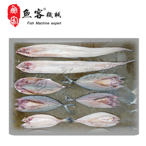Verified <strong>Supplier</strong> Stainless Steel Pseudocardium Sachalinense <strong>Fish</strong> Cutter Cutting <strong>Machine</strong> <strong>Fish</strong> Food <strong>Processing</strong> Machinery - Product Image 6