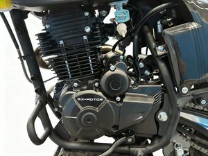 Motocicleta Todoterreno HXZ de 300cc, 4 Tiempos, Refrigerada por Aire, de Gasolina, 80km/h - Product Image 5