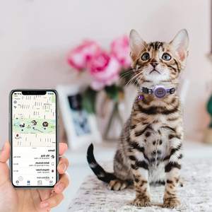 Collar para Gato con Soporte para AirTag, Collar Reflectante <span class=keywords><strong>de</strong></span> Nailon para Mascotas con Campana, Personalizable con Nombre y Número <span class=keywords><strong>de</strong></span> Teléfono - Product Image 6