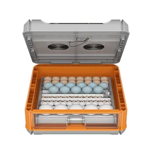 Incubadora de ovos com 5 camadas 98%, taxa de incubadora