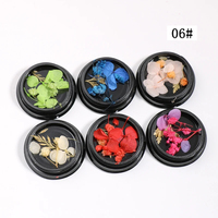 Mini fleurs séchées naturelles en plastique en gros pour nail art DIY