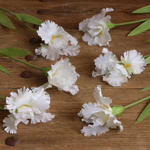 Zuoyi-Tela de seda artificial de 14cm de diámetro, flor de Orquídea y vainilla, flores de tacto real, <span class=keywords><strong>Iris</strong></span> para el hogar - Product Image 5