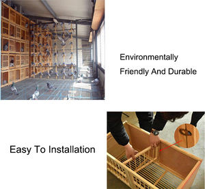 Ucuz kek standı ucuz üreme güvercin kutusu boş kuş evleri özel etiket ahşap çin kuş kafesleri - Product Image 4