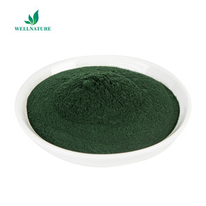 Nhà máy cung cấp protein 65% Chlorella chiết xuất tảo Chlorella Chlorella pyrenoidosa bột - Product Image 3
