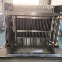 Usine Automatique Boeuf Poulet Porc Saucisse Viande Attendrisseur Saumure Injecteur Machine D'injection