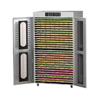 Déshydrateur Électrique Commercial Multifonctionnel en Acier Inoxydable Efficace pour Fruits et Légumes, Moteur à Engrenages PLC, Capacité 100 kg/h, 2000W