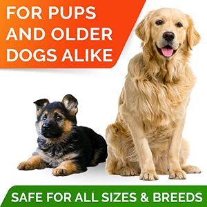 OEM/ODM Gâteries Omega 3 à l'huile de poisson pour chiens Acides gras EPA & DHA à mâcher à l'huile de saumon d'Alaska pour soulager les démangeaisons et les pertes - Product Image 6