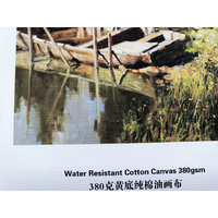 380g mat imperméable 100% coton tissé surface texture impression peinture à l'huile jet d'encre fine art toile rouleau pour EPSON HP