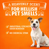 Éliminateur d'odeurs pour animaux domestiques, pour l'urine de chien et de chat |   Nettoyant pour taches de tapis avec huile d'orange naturelle |   Désodorisant aux agrumes