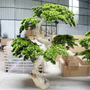 2M Hoge Live Grenen Bomen Indoor Bonsai Planten Kunstmatige Pijnboom Voor Home Decoratie