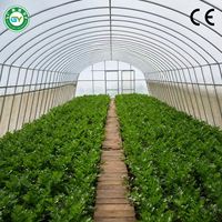 Serre tunnel agricole Guangyuan multi-chapelles en PE à double couche avec structure en acier galvanisé pour la culture de légumes