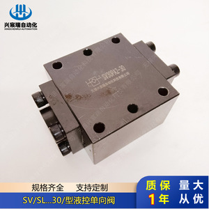 Vanne de contrôle hydraulique Xingchenrui SL20PB1-30 315 bars 60 L/min bidirectionnelle pour applications haute pression - Product Image 2