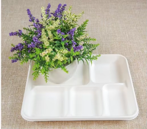 100% <span class=keywords><strong>plateau</strong></span> à sushi jetable biodégradable vaisselle <span class=keywords><strong>plateau</strong></span> de nourriture bagasse <span class=keywords><strong>plateau</strong></span> à emporter sûr pour réfrigérateur pour les fêtes - Product Image 1