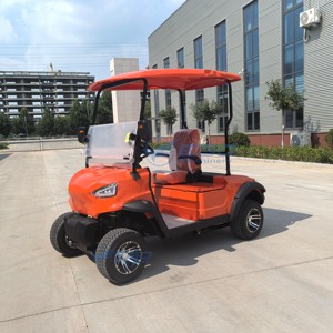 Voiturette de golf électrique 2026 à bas prix avec télécommande, batterie au lithium, vente en gros, véhicule utilitaire électrique - Product Image 1