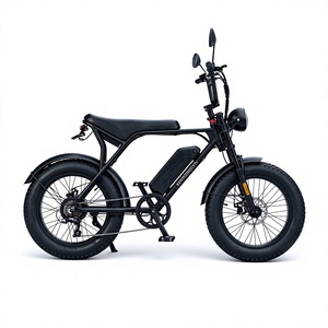 Vélo électrique à pneus larges de 20 pouces, moteur arrière sans balais 48V 500W, 7 vitesses, cadre en acier pour adultes DY006 DY006 - Product Image 2
