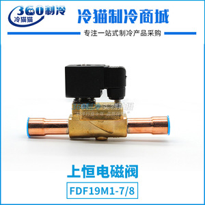 Vanne solénoïde S.T.F FDF19M1-7/8 en acier au carbone avec raccord à bride pour la réfrigération des entrepôts frigorifiques - Product Image 3