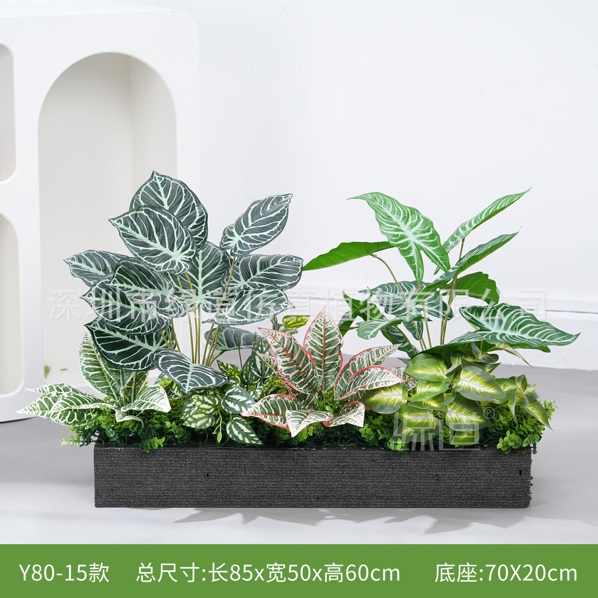 hc-Y80-15 convient aux jardinières de 80 cm