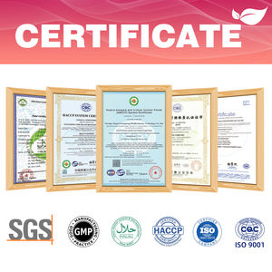 Integratore in Polvere OEM Focus al Gusto Lampone, con Criniera di Leone Biologica 1200mg, <span class=keywords><strong>L</strong></span>-Tirosina, Fosfatidilserina, Senza OGM - Product Image 6