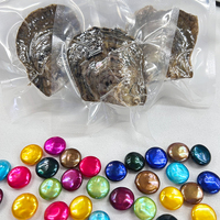 Boîte mystère personnalisée d'huîtres à perles diverses emballées sous vide avec perles naturelles brillantes, jeu de découverte amusant, cadeau créatif pour les fêtes