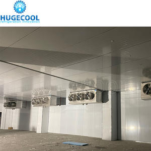 Hugecool personalizado Walk in Cooler Freezer Room Storage Coldroom Cooling Room Chiller Room para Vegerables Fruit - Product Image 1