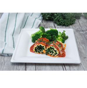 Assiettes jetables carrées en fibre de canne à sucre biodégradable de 10 pouces, boîte à lunch bento avec couverts pour la restauration - Product Image 3