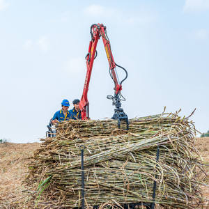Transportador de Troncos Inteligente y Eficiente Energéticamente Xuvol, Transportador de Caña de Azúcar/Madera, Transporta 100 Toneladas de Caña de Azúcar en un Día - Product Image 2