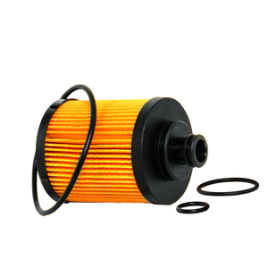 2503100 Filtre à huile moteur pour Ford KA RU8 FIAT Grande Punto LINEA 1.3D 199B2 199B4 199A2 199A3 PANDA Punto Qubo SIENA Strada - Product Image 1