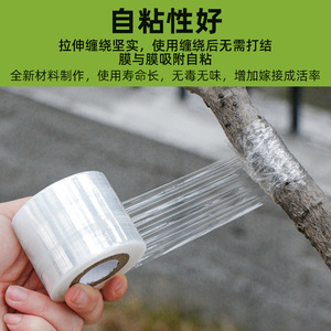 Pe Grafting Film 3cm 5cm <b>Waterproof</b> Self <b>Adhesive</b> For Fruit Tree Industrial Use - Product Image 5