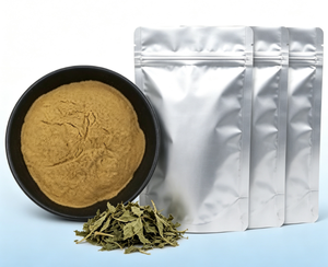 Extrait de marrue 70 % <span class=keywords><strong>Silice</strong></span>, poudre d'Urtica Dioica testée HPLC, certifiée GMP, vente en gros, matière première nutraceutique en vrac, OEM ODM à base de plantes - Product Image 3